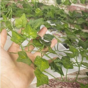 Ivy vine faux leaf, 24 pack